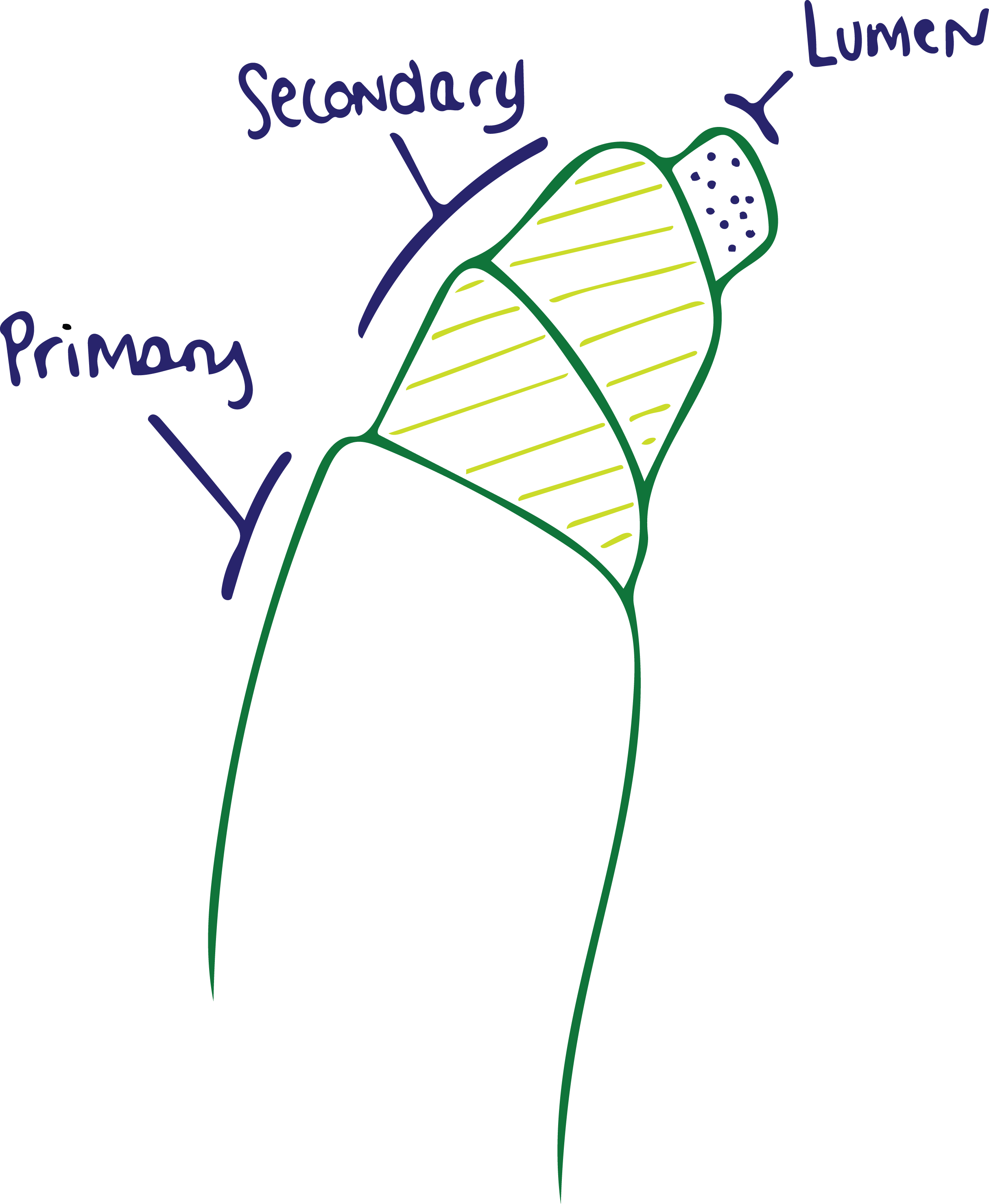 Cotton Fiber First Source Worldwide