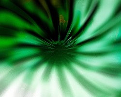 dye color in green